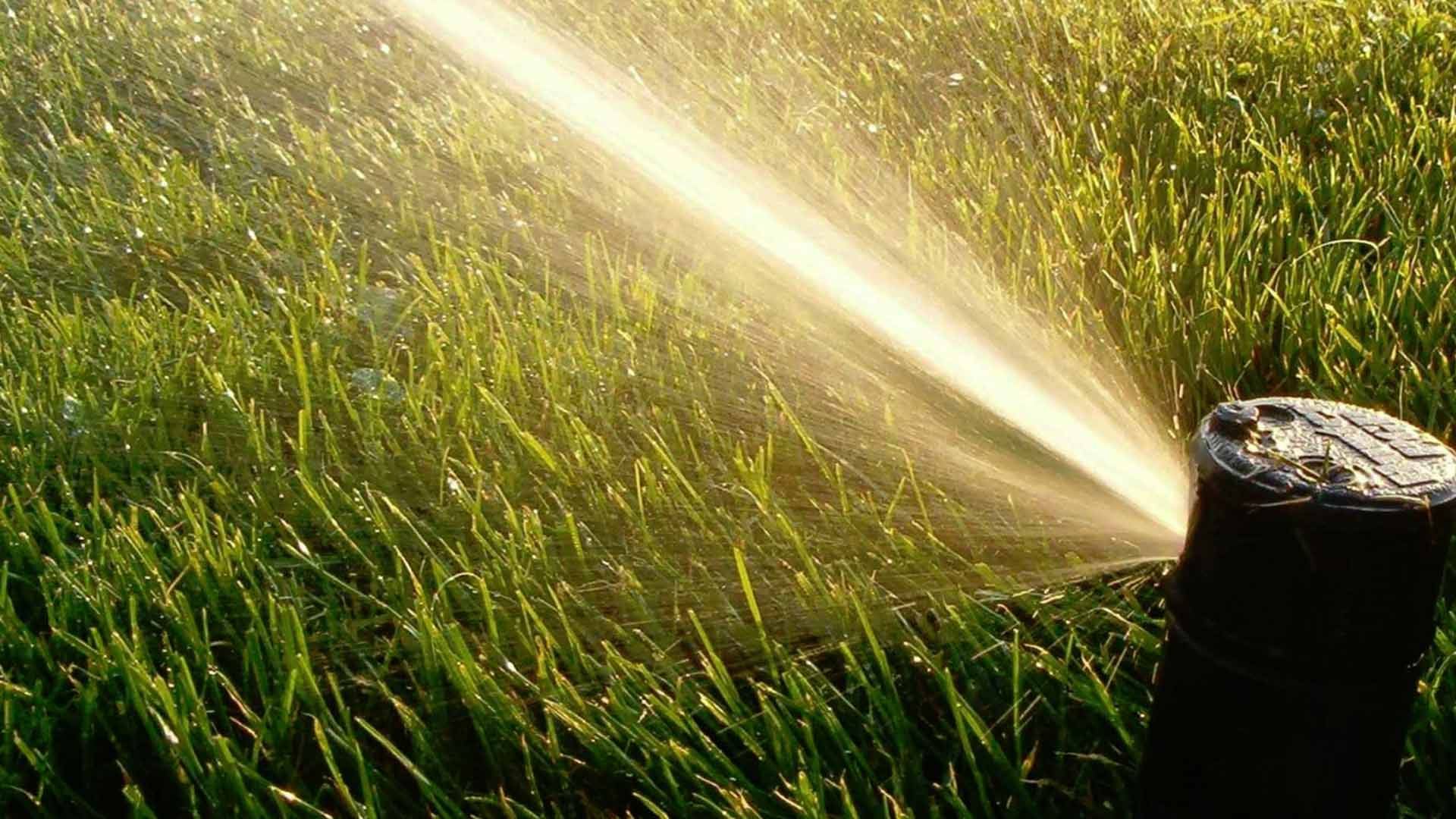 Yard Feeder Saves Water
